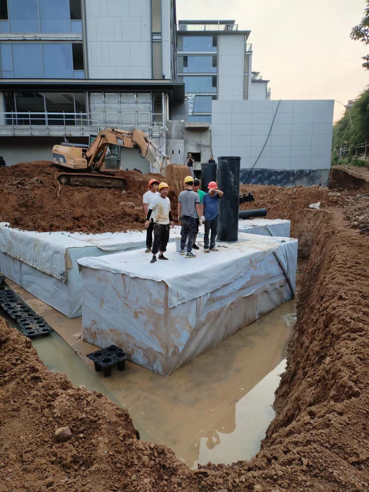 1687918608178997.jpg 5.jpg